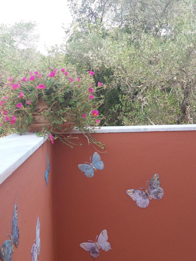 Apartament Alexandra Spingou