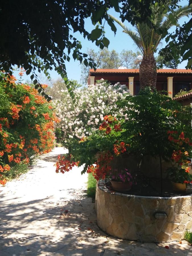 Apartament Alexandra Spingou