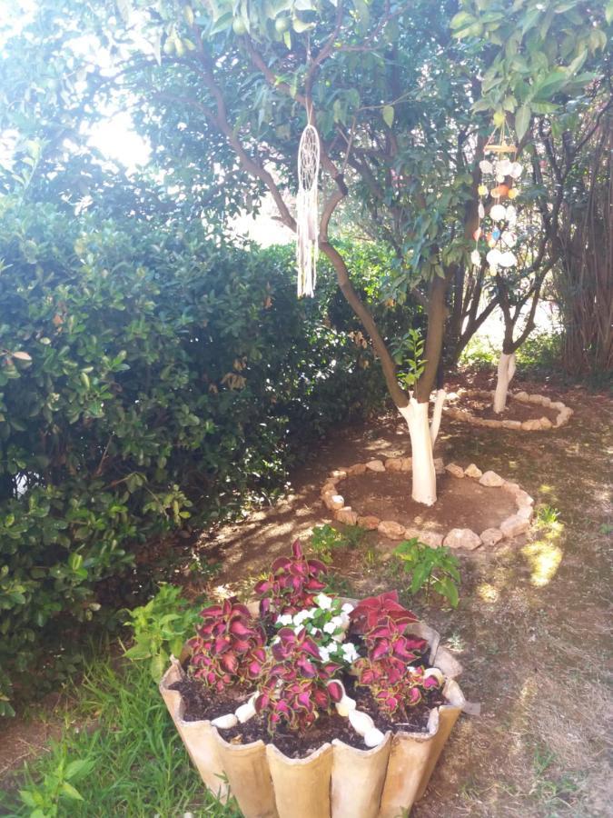 Alexandra Spingou Apartament *