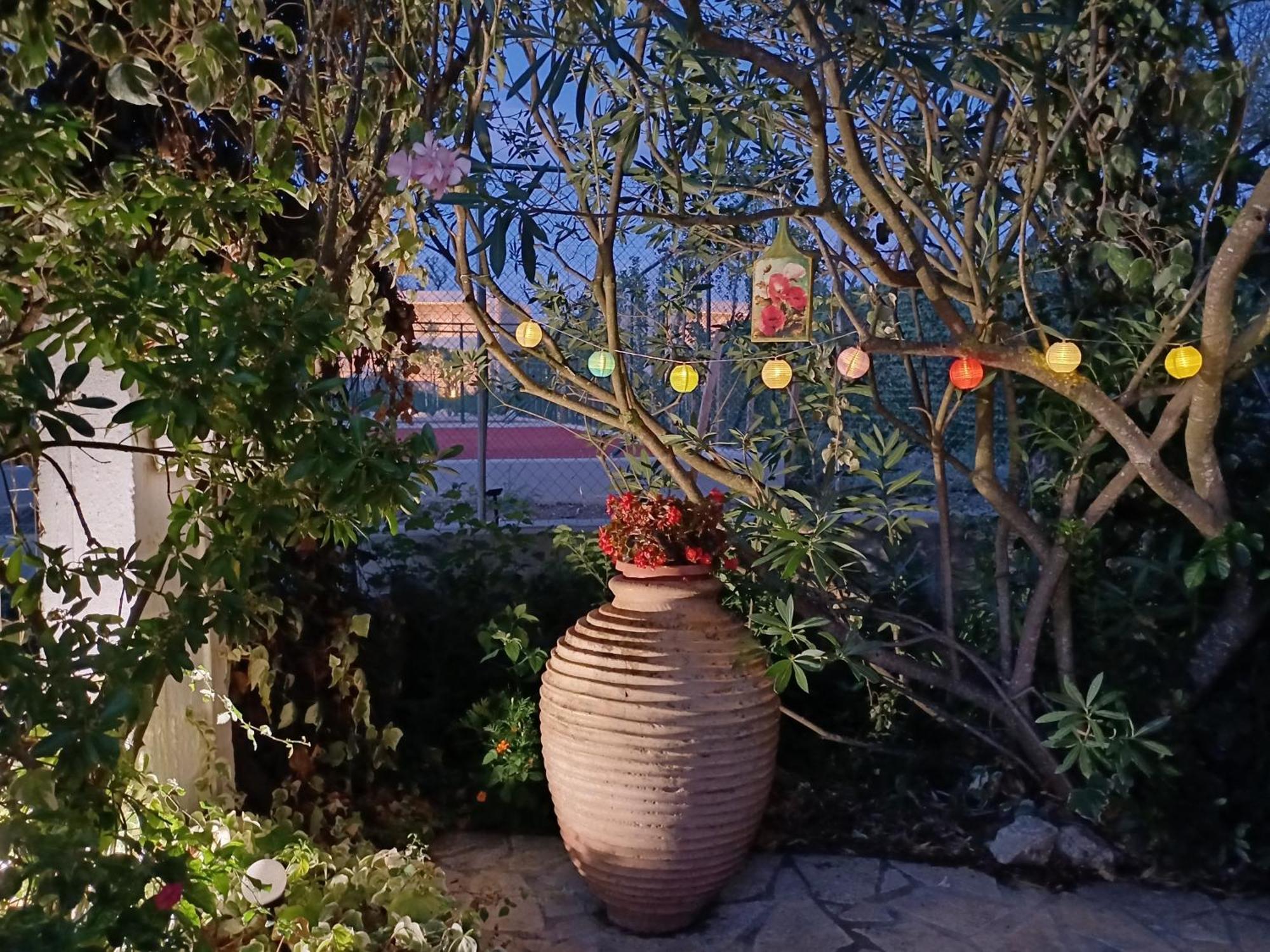 Alexandra Spingou Apartament Dassia (Corfu)