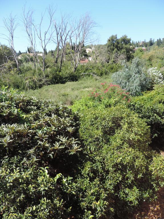 Apartament Alexandra Spingou